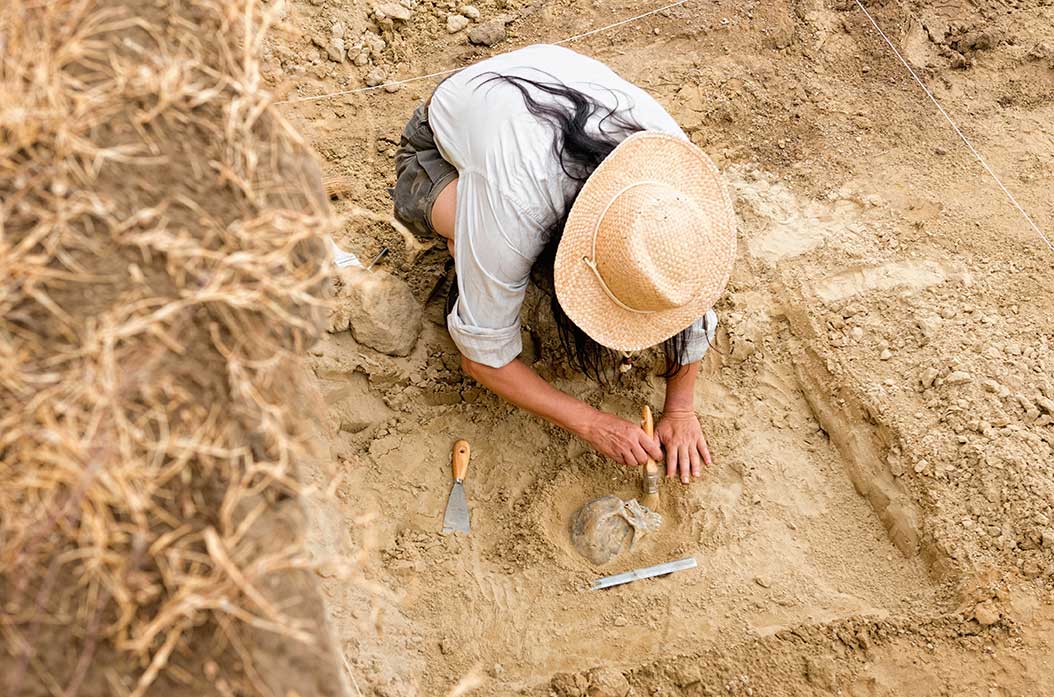 Apa yang Dilakukan Seorang Arkeolog?