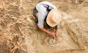 Apa yang Dilakukan Seorang Arkeolog?